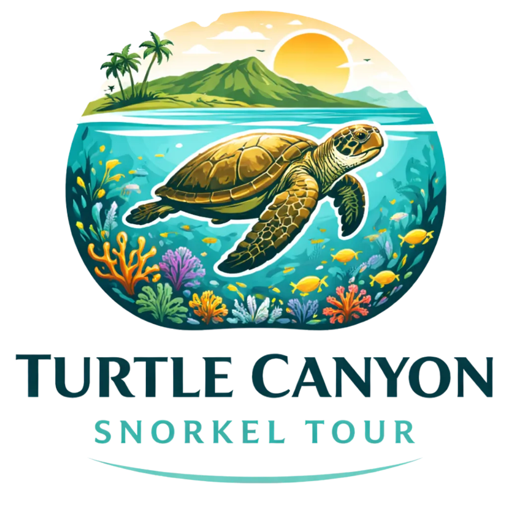 Turtle Canyon Snorkel Tour